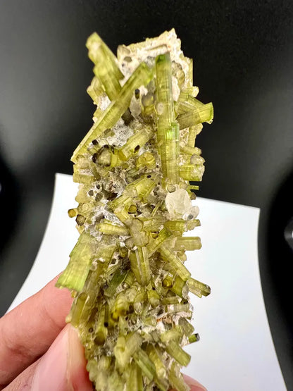 Green Tourmaline Crystals Specimen from Pakistan - 43 Grams