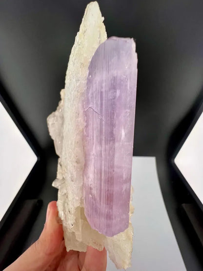 Kunzite with Cleavelandite Albite And Quartz Specimen from Afghanistan - 606 Grams