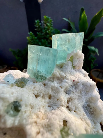 Blue Aquamarine Crystals with Mica and Albite from Pakistan - 680 Grams