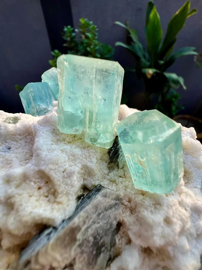 Blue Aquamarine Crystals with Mica and Albite from Pakistan - 680 Grams