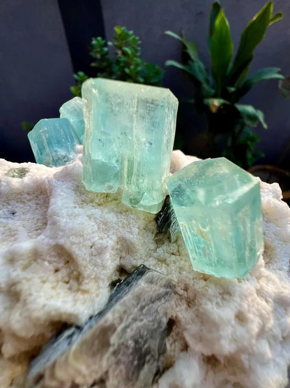 Blue Aquamarine Crystals with Mica and Albite from Pakistan - 680 Grams