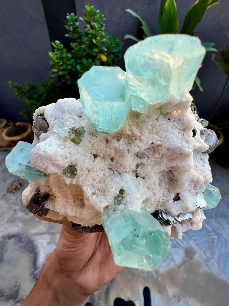 Blue Aquamarine Crystals with Mica and Albite from Pakistan - 680 Grams
