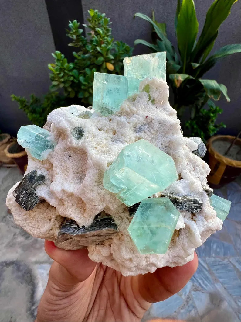 Blue Aquamarine Crystals with Mica and Albite from Pakistan - 680 Grams