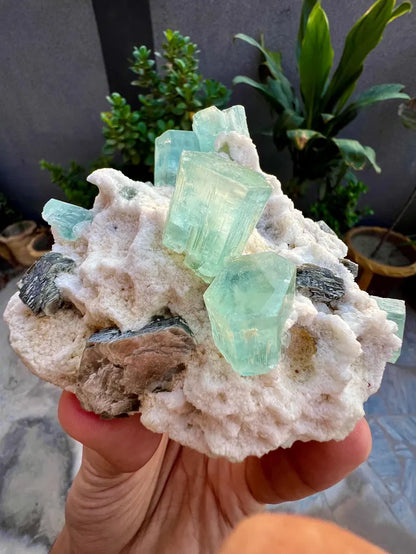 Blue Aquamarine Crystals with Mica and Albite from Pakistan - 680 Grams