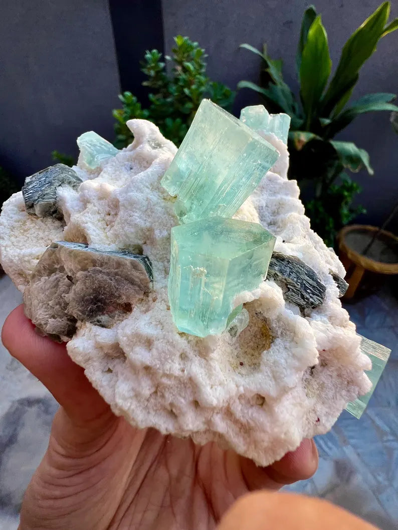 Blue Aquamarine Crystals with Mica and Albite from Pakistan - 680 Grams