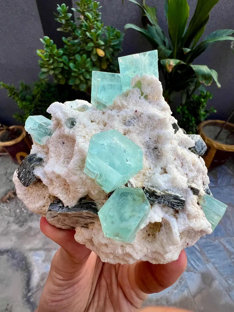 Blue Aquamarine Crystals with Mica and Albite from Pakistan - 680 Grams