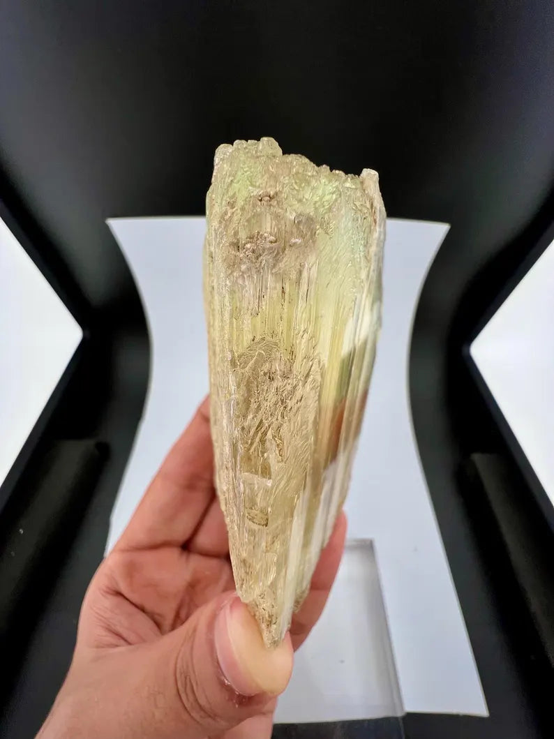 Yellow Triphane Kunzite Crystal from Afghanistan - 411 Grams
