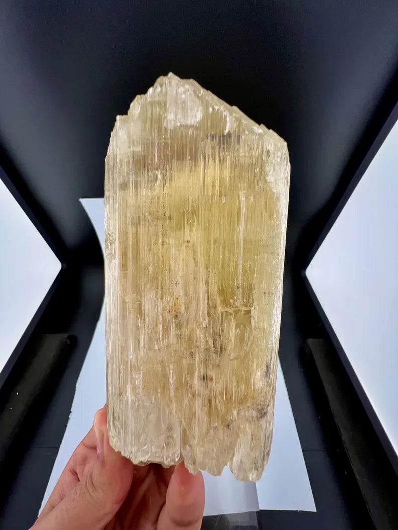 Yellow Triphane Kunzite Crystal from Afghanistan - 668 Grams