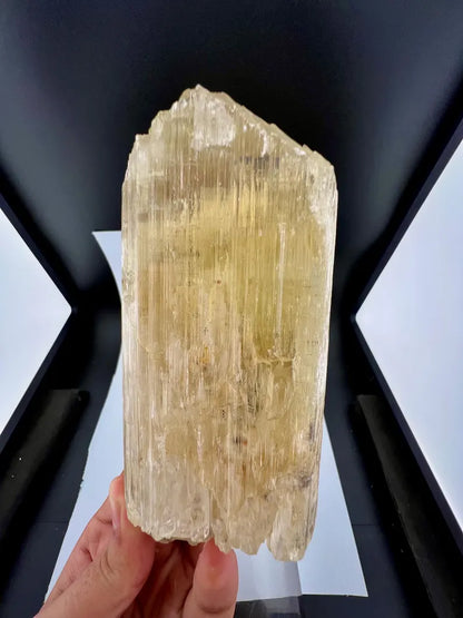 Yellow Triphane Kunzite Crystal from Afghanistan - 668 Grams
