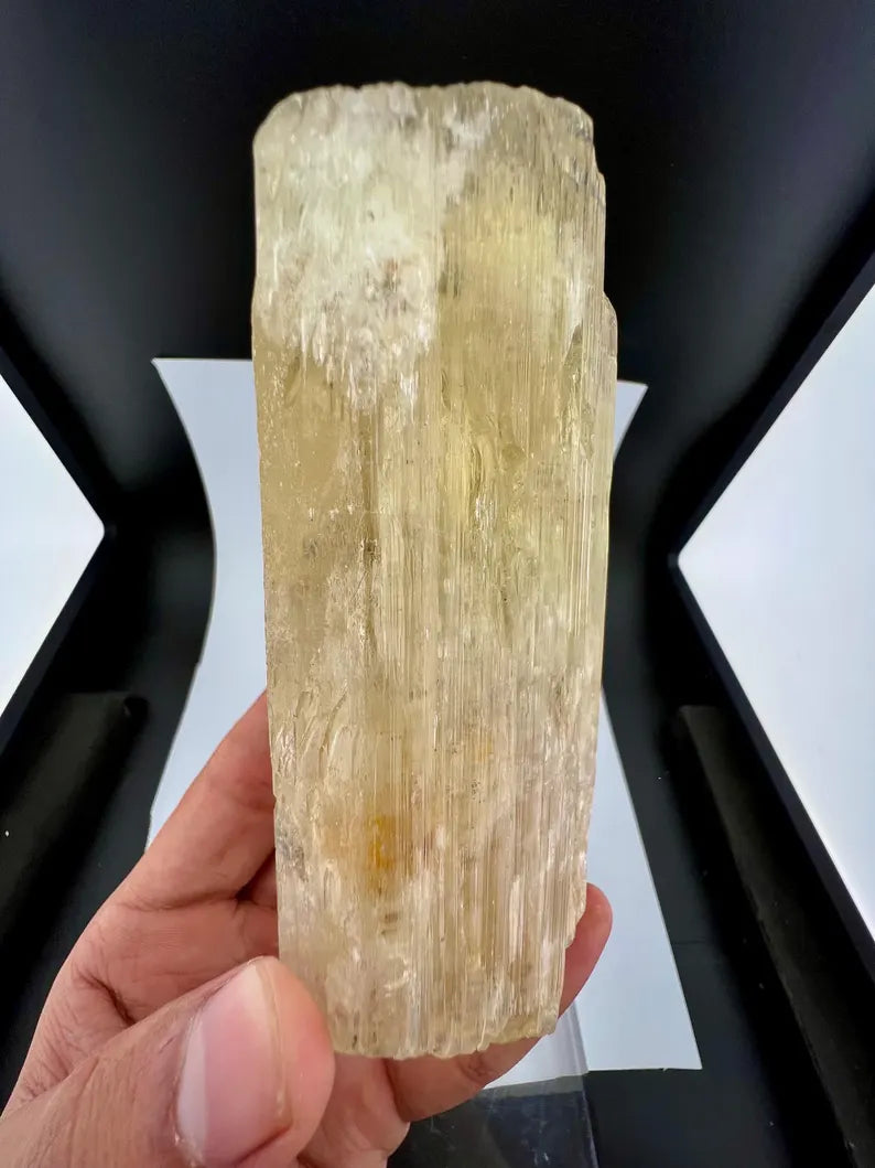 Yellow Triphane Kunzite Crystal from Afghanistan - 668 Grams