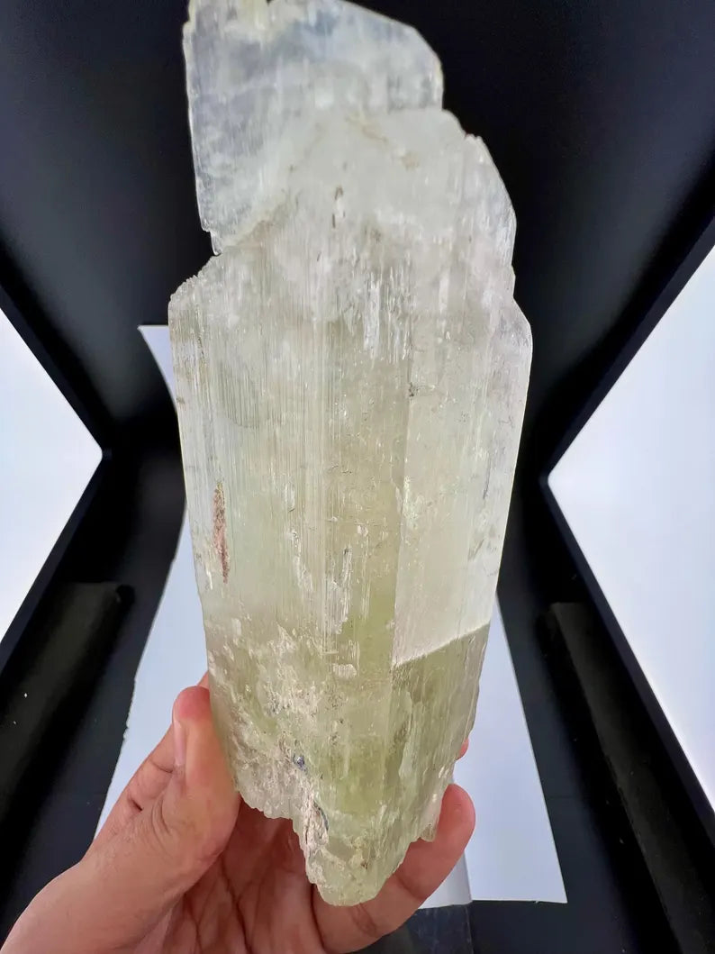 Yellow Triphane Kunzite Crystal from Afghanistan - 590 Grams