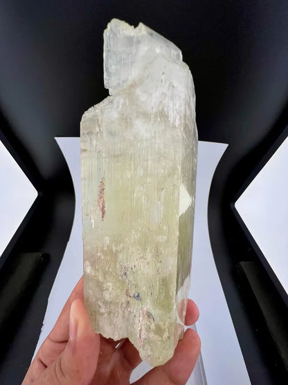 Yellow Triphane Kunzite Crystal from Afghanistan - 590 Grams
