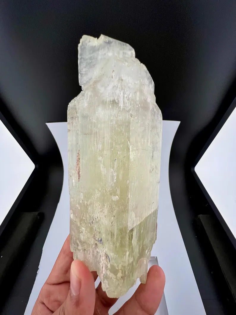 Yellow Triphane Kunzite Crystal from Afghanistan - 590 Grams
