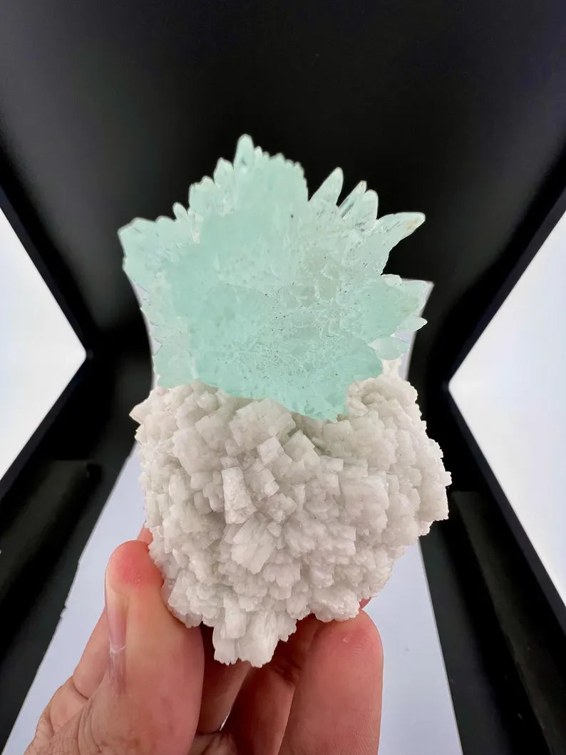 Bicolor AquaMorganite Crystal on Albite from Pakistan - 139 Grams
