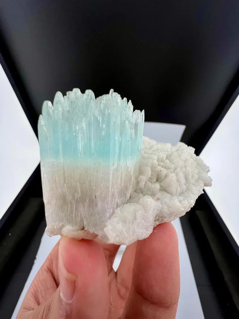Bicolor AquaMorganite Crystal on Albite from Pakistan - 139 Grams