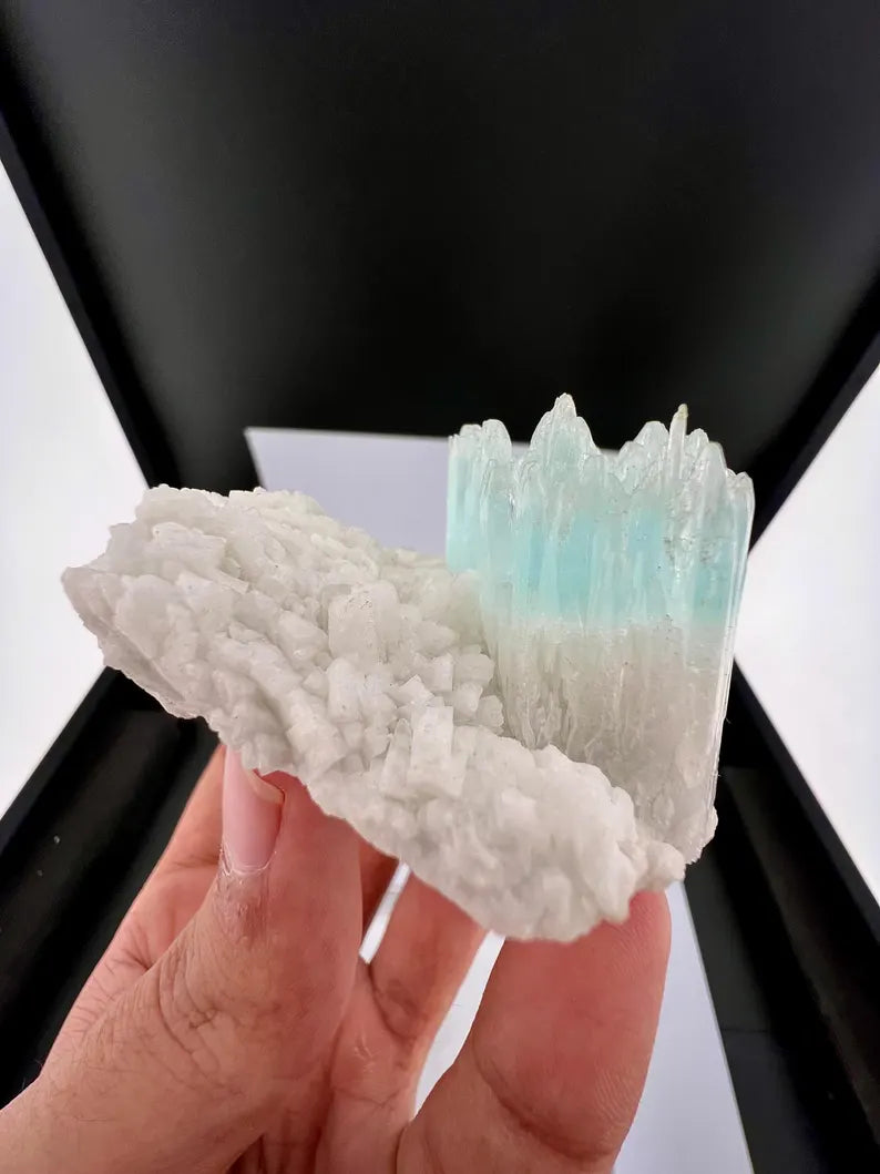 Bicolor AquaMorganite Crystal on Albite from Pakistan - 139 Grams