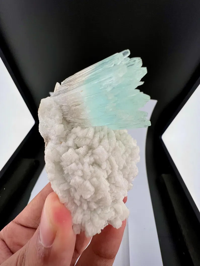 Bicolor AquaMorganite Crystal on Albite from Pakistan - 139 Grams