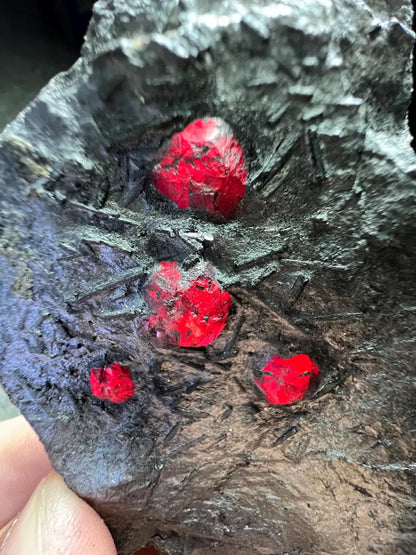 Red Garnet Crystals on Graphite from Massachusetts, USA - 71 Grams