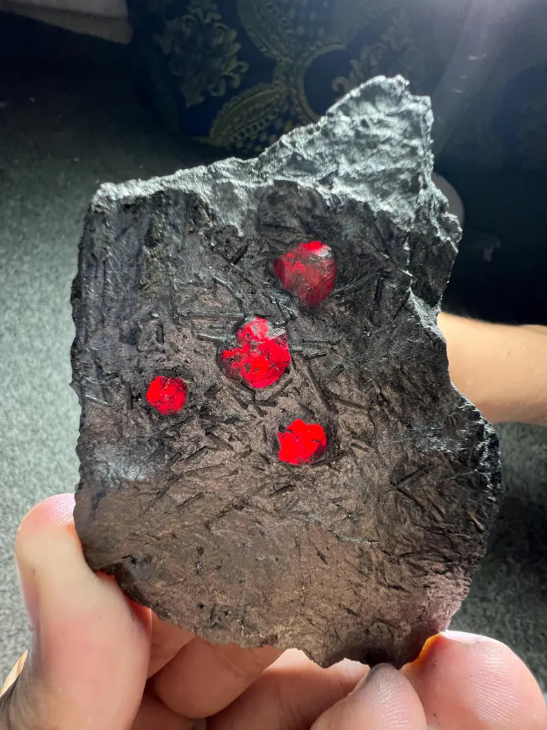 Red Garnet Crystals on Graphite from Massachusetts, USA - 71 Grams