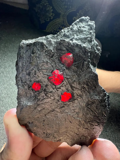 Red Garnet Crystals on Graphite from Massachusetts, USA - 71 Grams