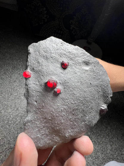 Red Garnet Crystals on Graphite from Massachusetts, USA - 61 Grams