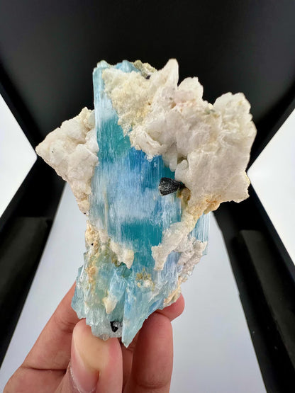 Blue Aquamarine Crystal with Albite from Pakistan - 131 Grams
