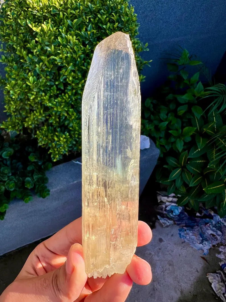 Yellow Triphane Kunzite Crystal from Afghanistan - 234 Grams