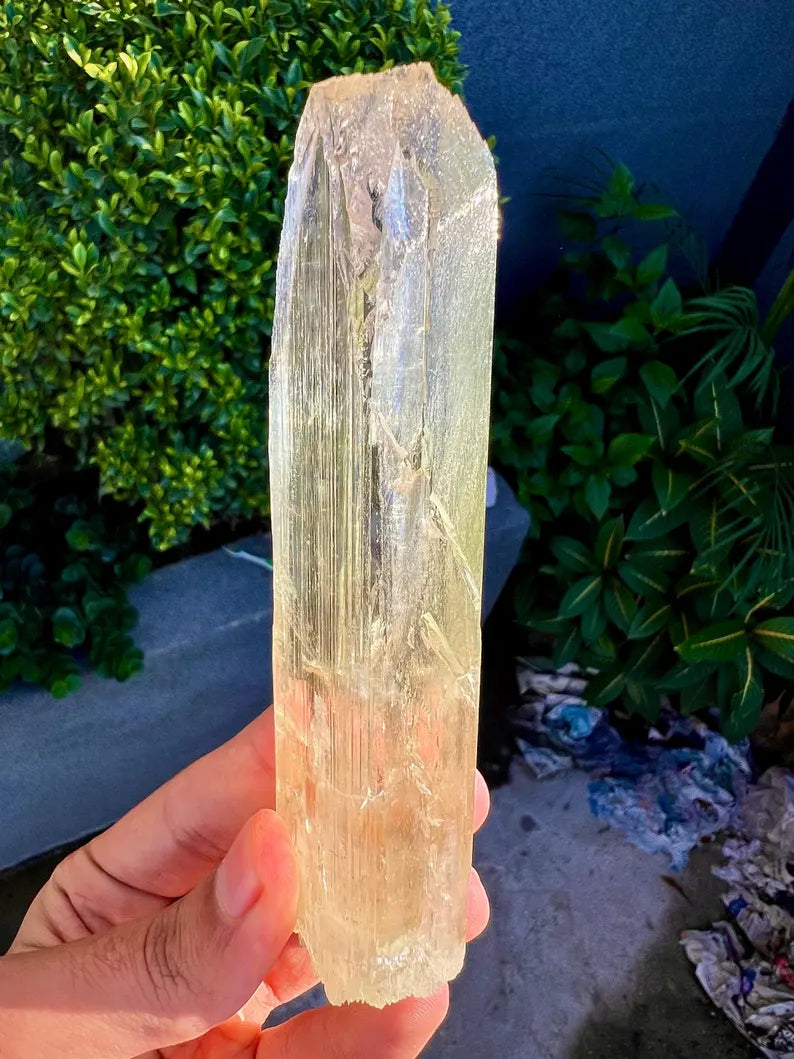 Yellow Triphane Kunzite Crystal from Afghanistan - 234 Grams