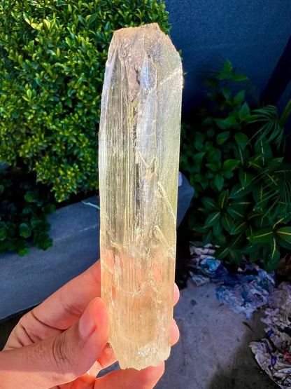 Yellow Triphane Kunzite Crystal from Afghanistan - 234 Grams