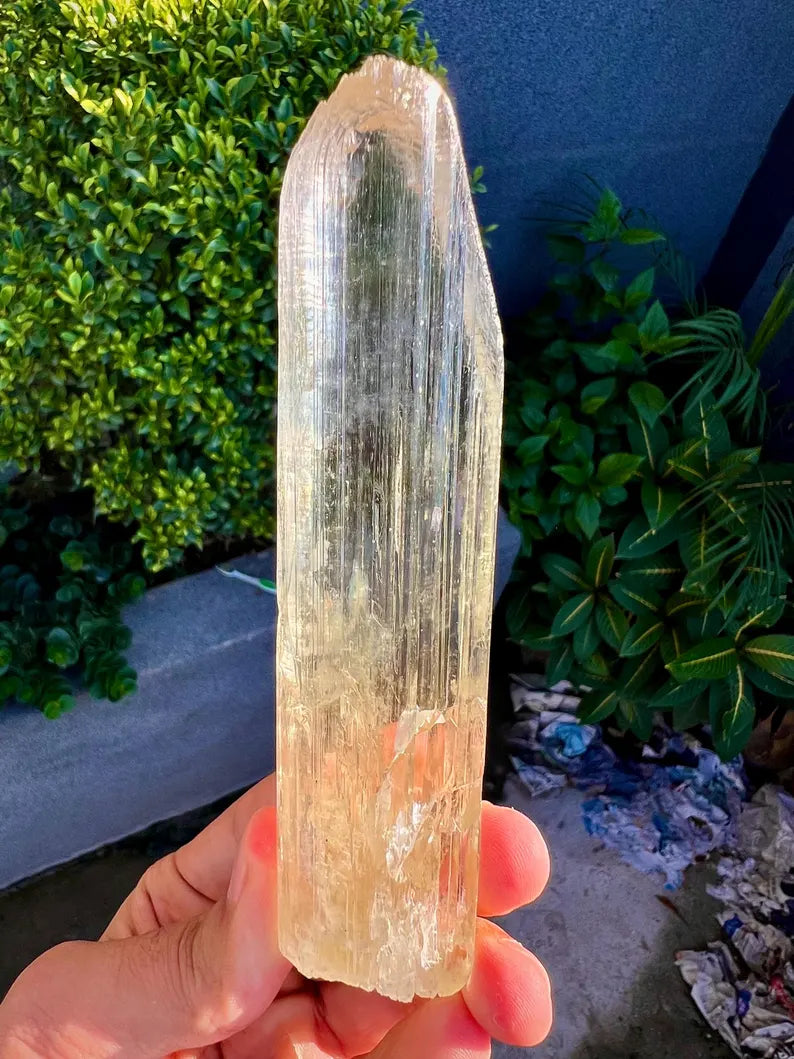 Yellow Triphane Kunzite Crystal from Afghanistan - 234 Grams