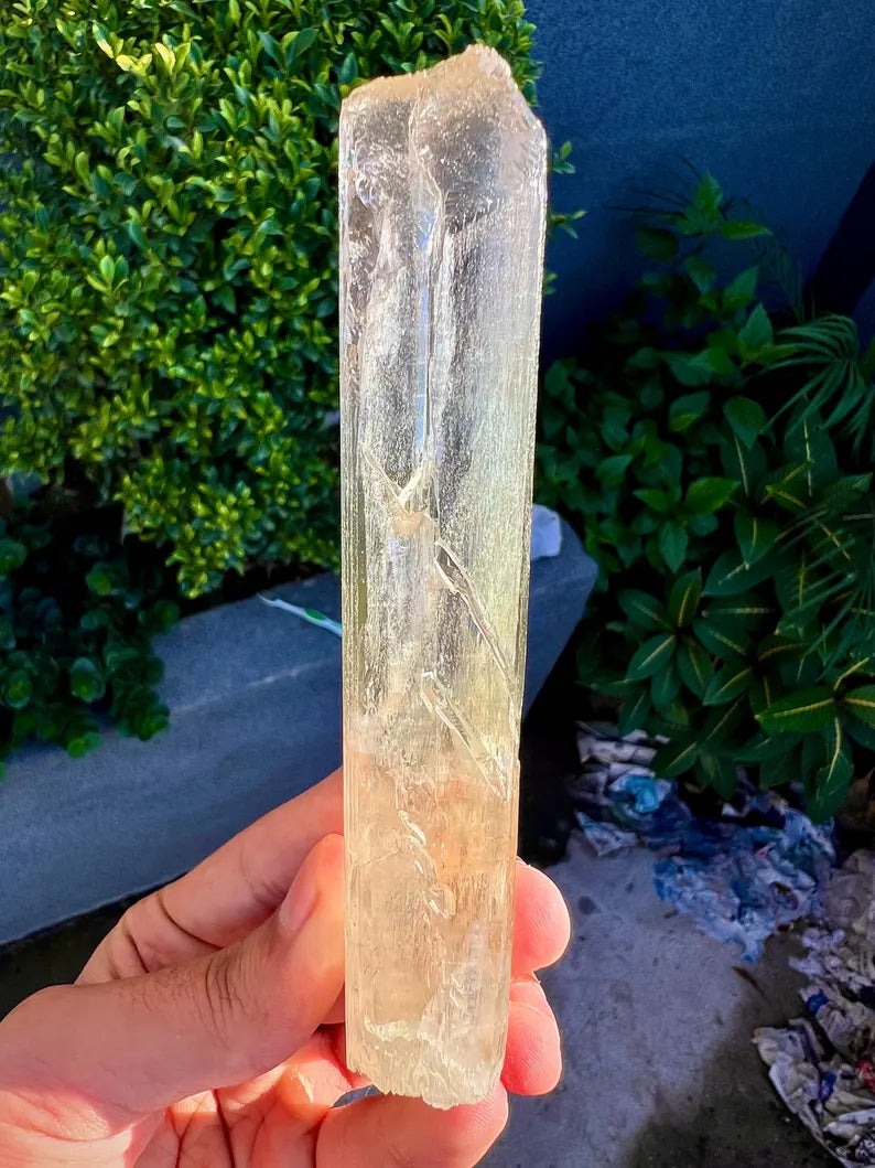 Yellow Triphane Kunzite Crystal from Afghanistan - 234 Grams