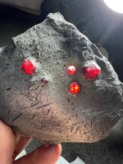 Red Garnet Crystals on Graphite from Massachusetts, USA - 62 Grams