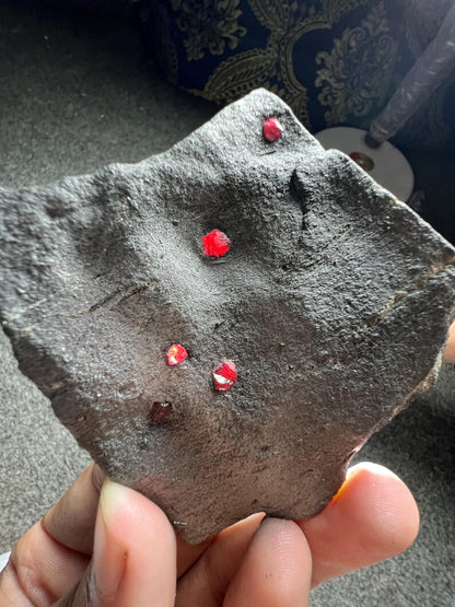 Red Garnet Crystals on Graphite from Massachusetts, USA - 62 Grams