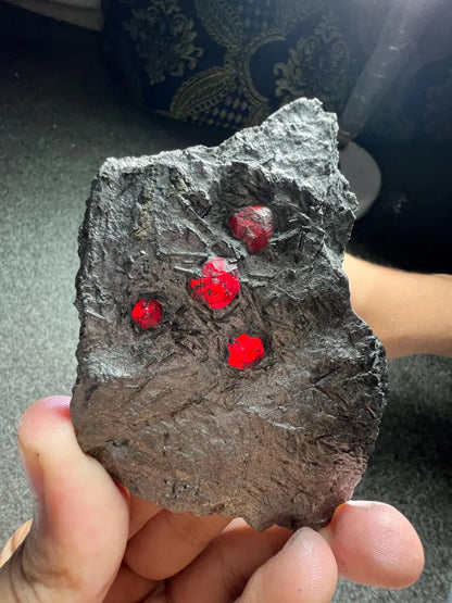 Red Garnet Crystals on Graphite from Massachusetts, USA - 71 Grams