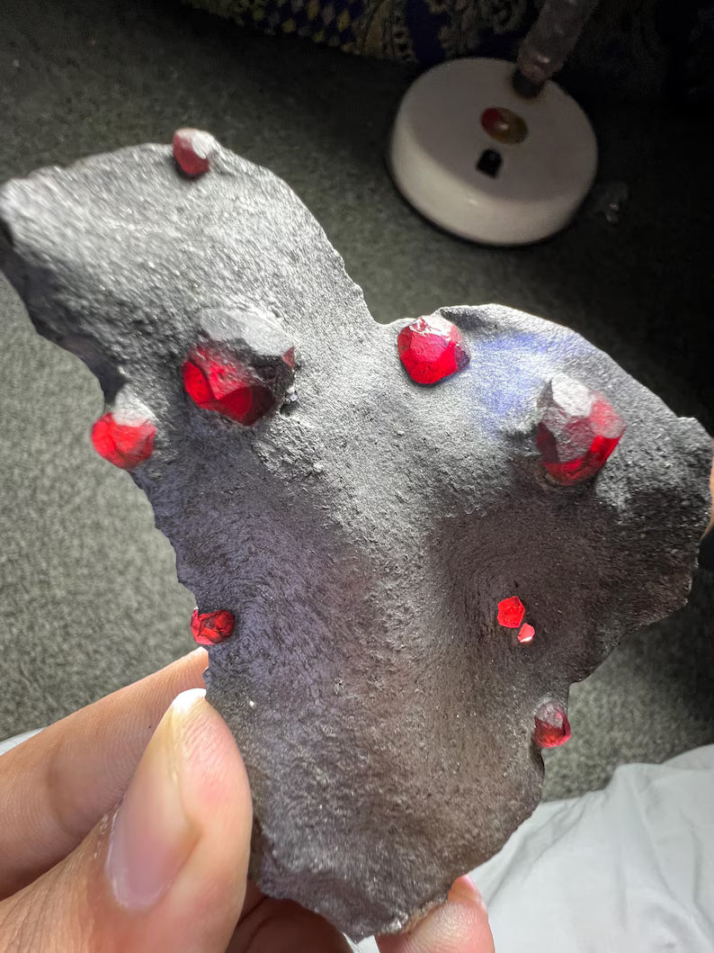 Red Garnet Crystals on Graphite from Massachusetts, USA - 55 Grams
