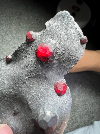 Red Garnet Crystals on Graphite from Massachusetts, USA - 55 Grams