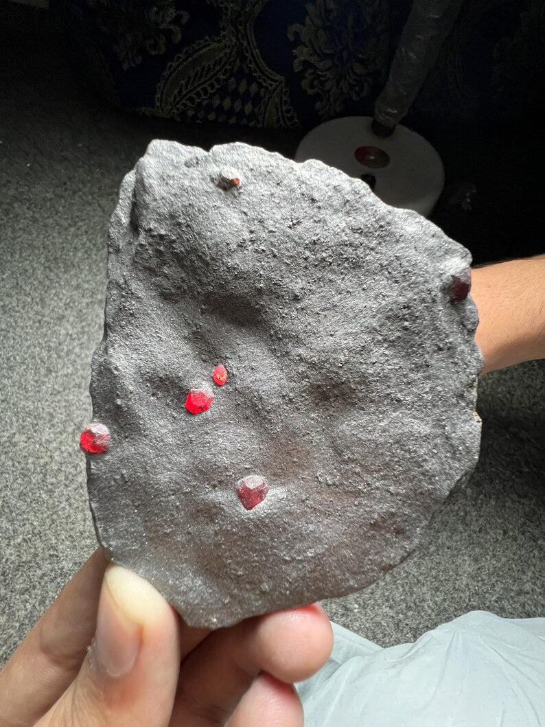 Red Garnet Crystals on Graphite from Massachusetts, USA - 61 Grams