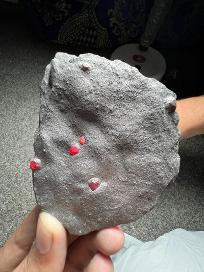 Red Garnet Crystals on Graphite from Massachusetts, USA - 61 Grams
