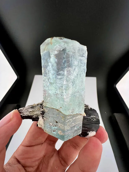 Blue Aquamarine Crystal on Schorl Tourmaline from Skardu Pakistan - 121 Grams