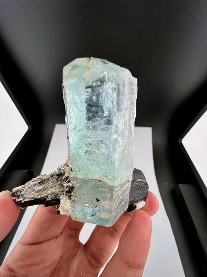Blue Aquamarine Crystal on Schorl Tourmaline from Skardu Pakistan - 121 Grams
