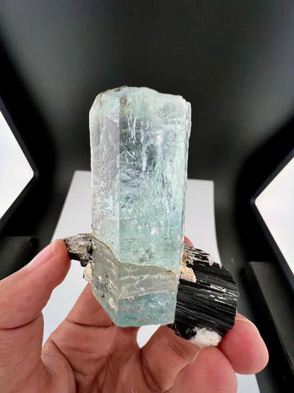 Blue Aquamarine Crystal on Schorl Tourmaline from Skardu Pakistan - 121 Grams