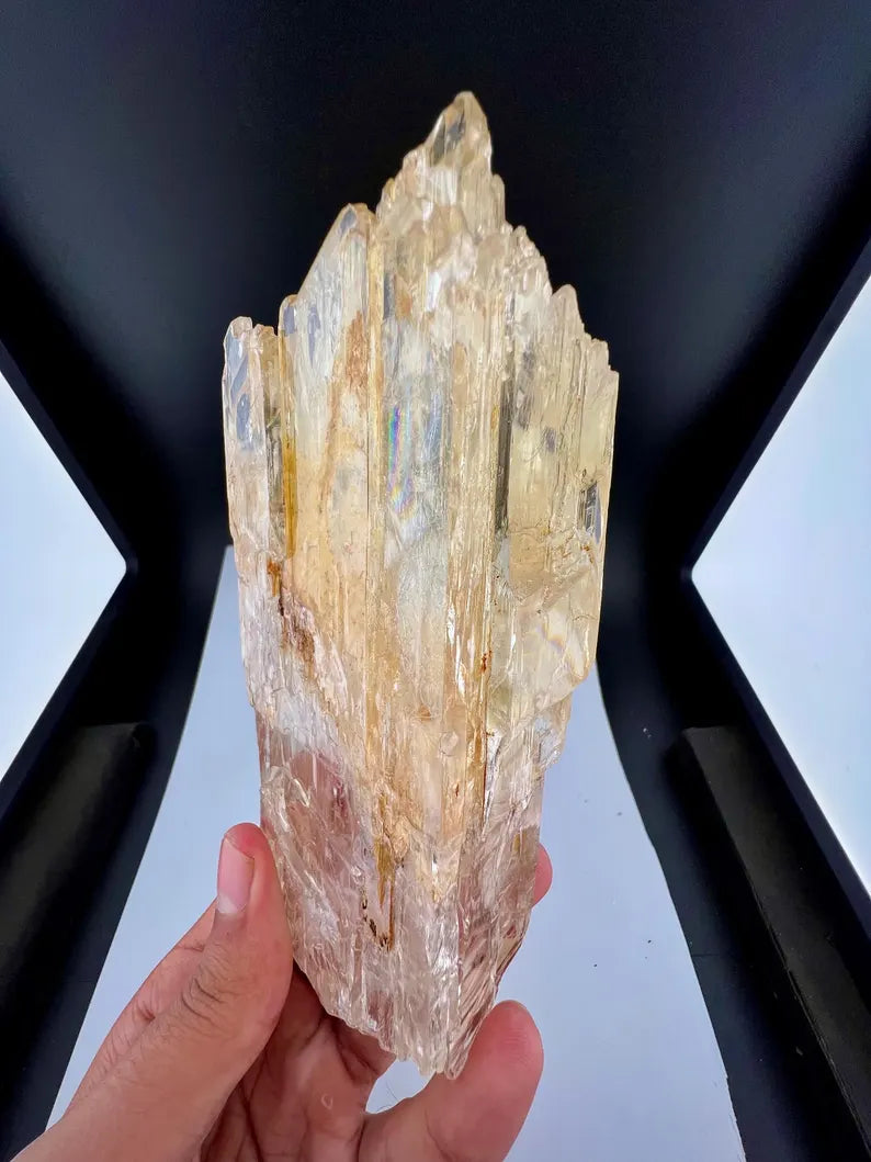 Yellow Triphane Kunzite Crystal from Afghanistan - 550 Grams