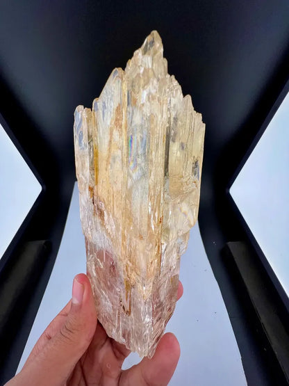 Yellow Triphane Kunzite Crystal from Afghanistan - 550 Grams