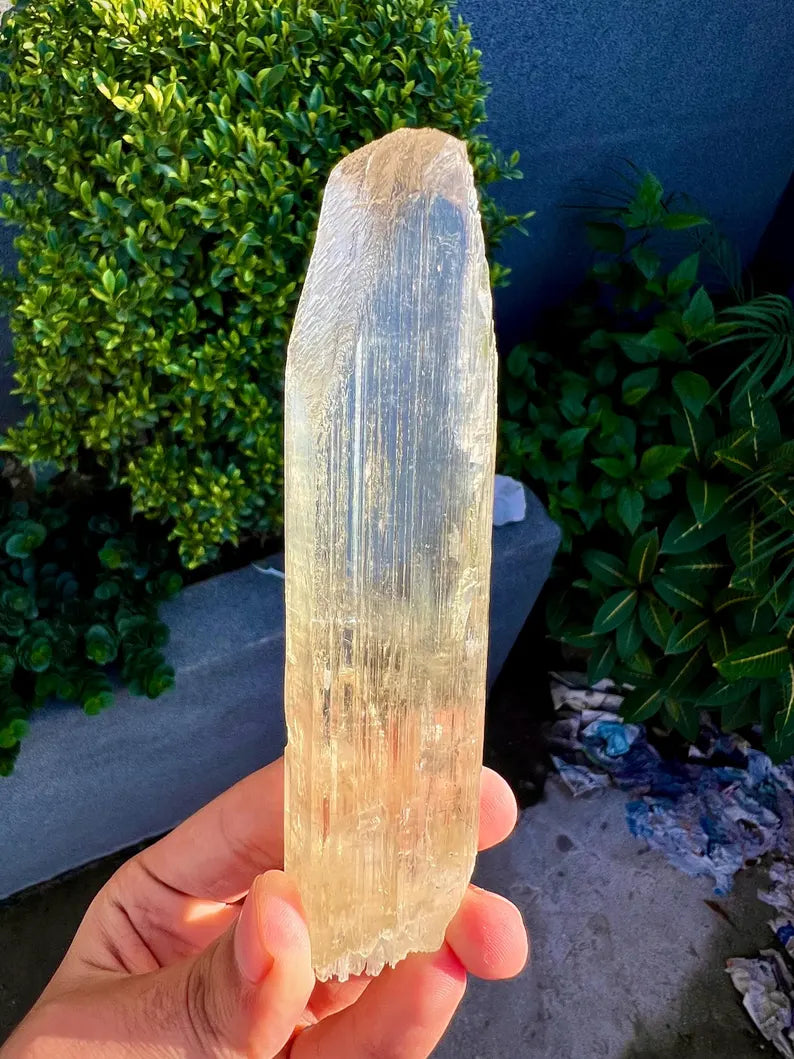 Yellow Triphane Kunzite Crystal from Afghanistan - 234 Grams