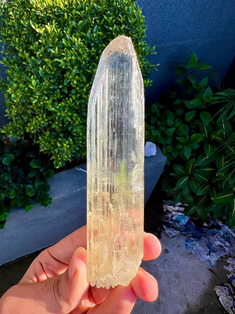 Yellow Triphane Kunzite Crystal from Afghanistan - 234 Grams