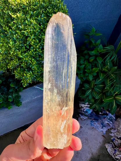 Yellow Triphane Kunzite Crystal from Afghanistan - 234 Grams