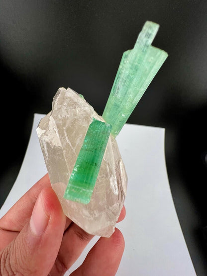 Green Tourmaline Crystals on Quartz from Afghanistan - 113 Grams