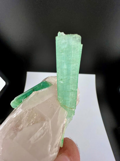 Green Tourmaline Crystals on Quartz from Afghanistan - 113 Grams