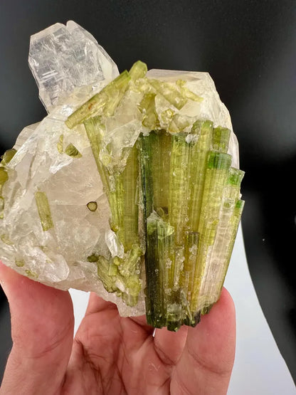 Green Tourmaline Bunch on Quartz from Skardu Pakistan - 650 Grams