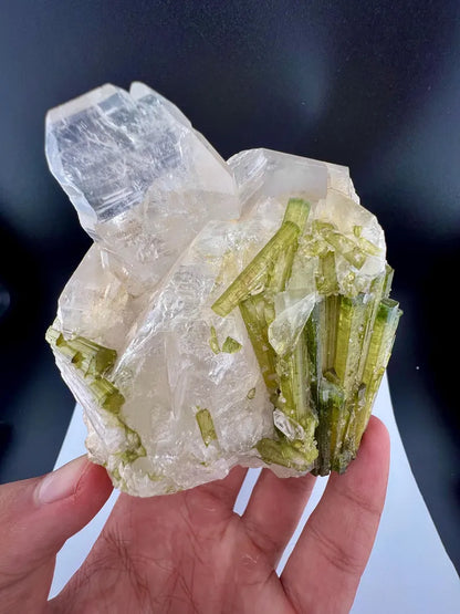 Green Tourmaline Bunch on Quartz from Skardu Pakistan - 650 Grams